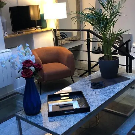 Jaccuzi&spa Des Caves Stanislas Appartement Nancy