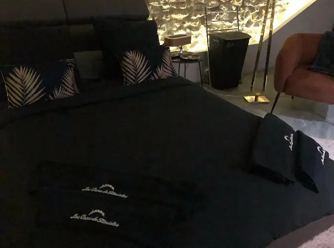 Jaccuzi & Des Caves Stanislas Apartament Nancy