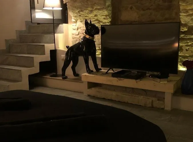 Jaccuzi & Des Caves Stanislas Apartament Nancy