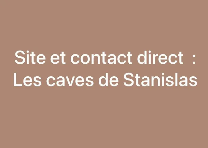Apartament Jaccuzi & Des Caves Stanislas *